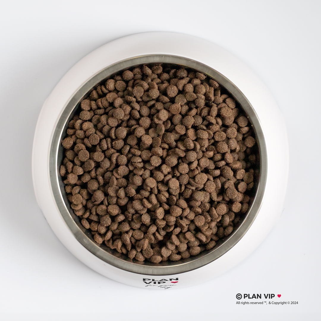 pienso para cachorros