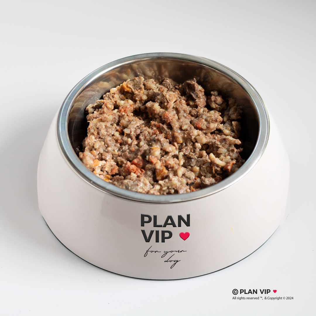 comida casera perros