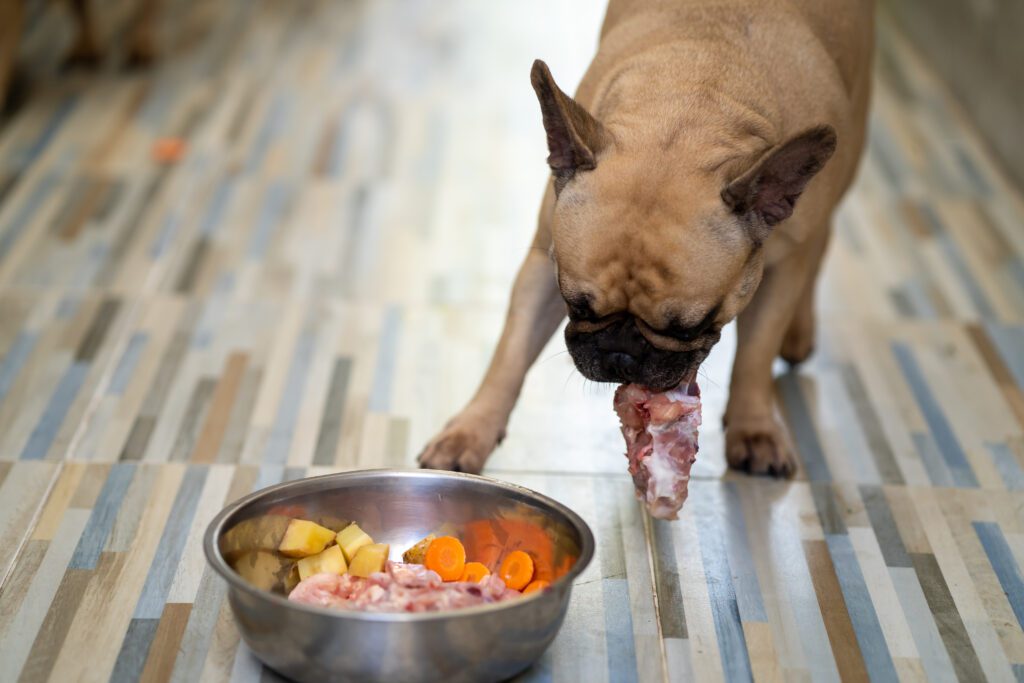 menú BARF para perros con carne y verdura